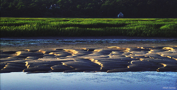 Wellfleet, Low Tide