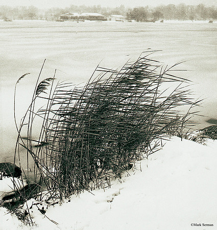 Lake at Flushing Meadows Park, Winter