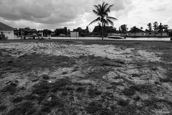 A Different Florida