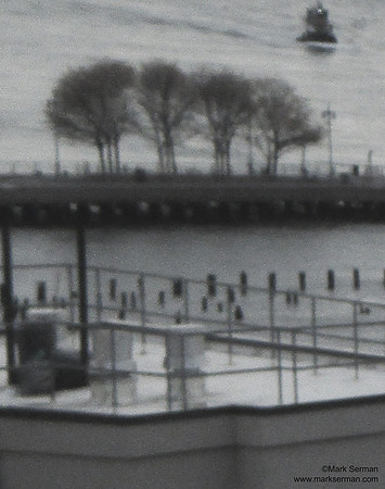 River Shadows