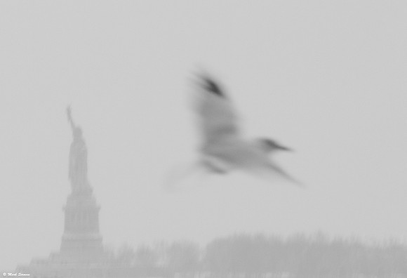 Cover Photo