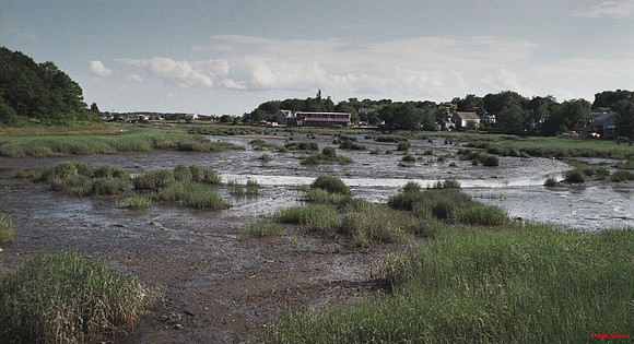 Cape Cod Marsh