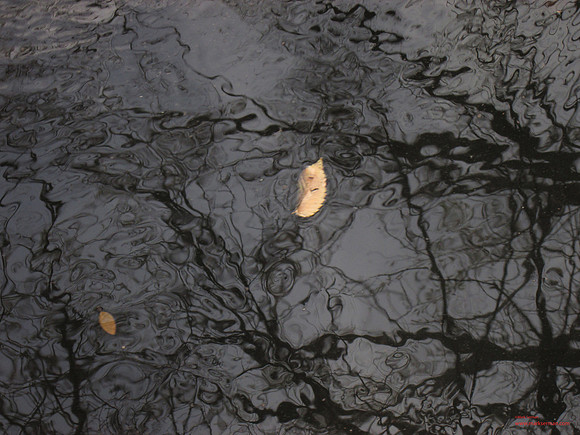 Fall Reflections