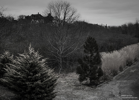 Provincetown Backyard Winter