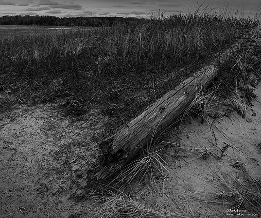 Cape Cod Winter Beach