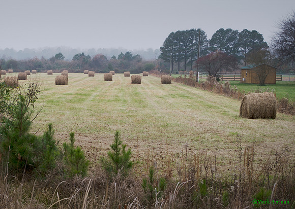 Haystacks
