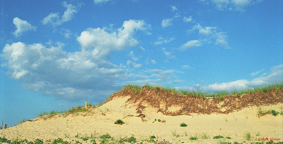 Dunes, Truro