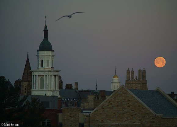 From my Window