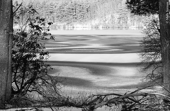 _DSC1318