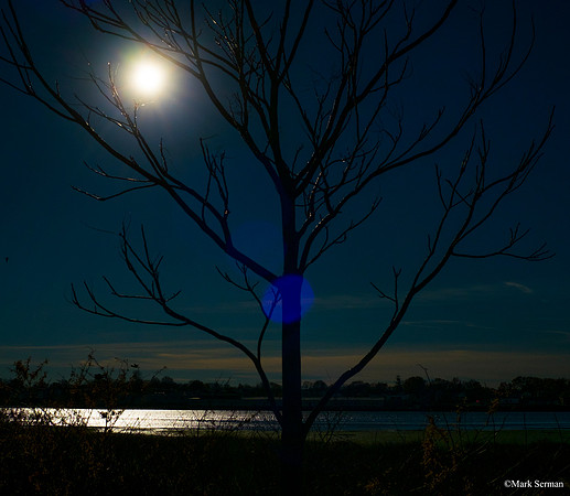 Day for night
