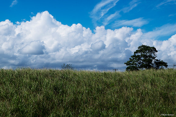A Grassy Knoll