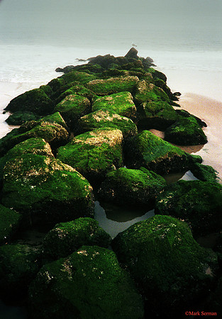 Waves, Rocks and a Seagull