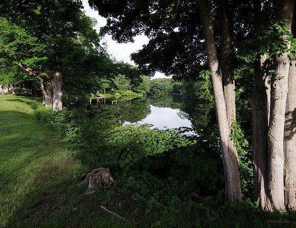 Landscape With A Pond
